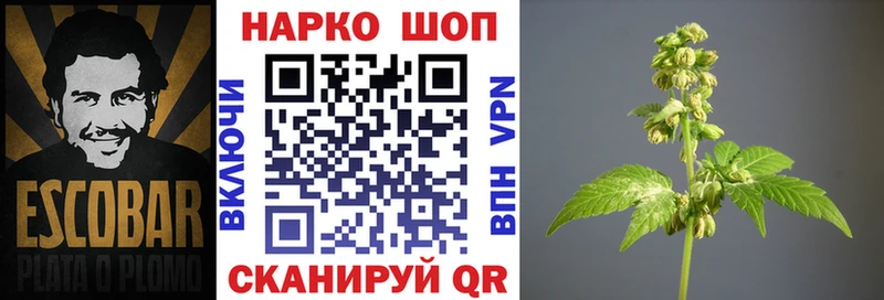 Где продают наркотики Бахчисарай Гашиш  Метамфетамин  COCAIN  АМФЕТАМИН  Меф  Бошки Шишки 