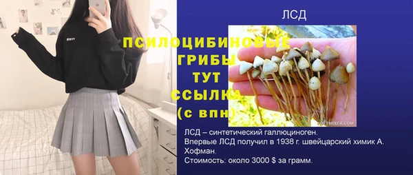 дживик Алзамай